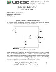 Rafael_Juliano_Scholtz_lab_7.pdf