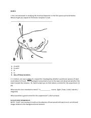 Quiz6_Answers.pdf