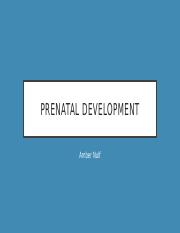prenatal childbirth.pptx