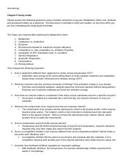 Chapter 5 - Study Guide.docx