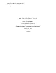 Final com420 Portfolio Project Market Research.docx