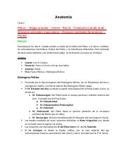 ESPLACNO Resumen PRO TP#17.docx