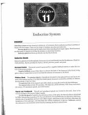 KYA_WYKOFF_-_Ch_11_Endocrine_System.pdf