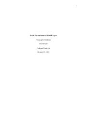 Social Determinants of Health Paper.pdf