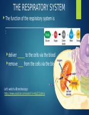5_Respiratory System_student (1).pptx