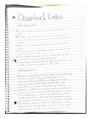 Chapter 1 Lab activities.pdf