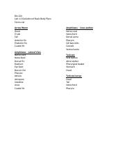 Lab 2_2 Body Plan Terms List.docx