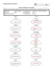 Ahocomparing Mitosis And Meiosis Pdf Comparing Mitosis