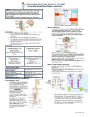 Micro B 3.5 Brainstem Lesions - Dr. Bravo (Cabanag).pdf
