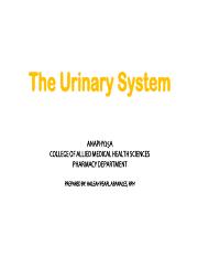 Urine-Formation-PDF.pdf