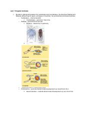 Bio Lab Final Exam Study Guide.pdf