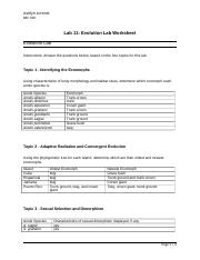 Lab-11-Evolution-Worksheet.docx