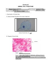 Activity 2 Animal Cell Structure  - Activity #2 ANIMAL CELL  STRUCTURE Name Maxara Nicole S. Ederadan Course/Section STEM 12-J  Instructor's | Course Hero