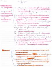 filosofía mod 1 y 2.pdf