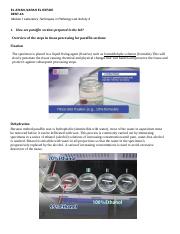 EL ARIAN M1 Laboratory Techniques in Pathology Lab Activity 2.pdf