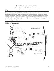 Kami Export - Phurbu Bhuti - 14 Gene Expression-Transcription-S.pdf