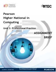 Unit 3 Professional Asg 2-2 (1).pdf