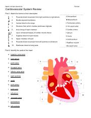 Copy of Cardiovascular System Review1.pdf