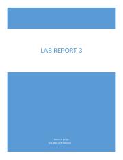 Lab Report 3.docx