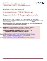 419677-pag-activity-biology-microscopy-suggestion-2.docx