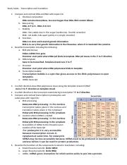 14 - Study Guide - Transcription, Translation.docx