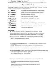 meiosis_worksheet (2).pdf