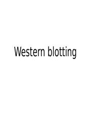 Western blotting slides.pptx