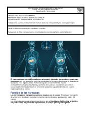 Sistema Neuroendocrino Material de Apoyo.pdf