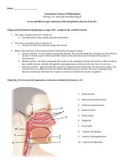 Bio 110 Online Anatomy of the Respiratory System (1).doc