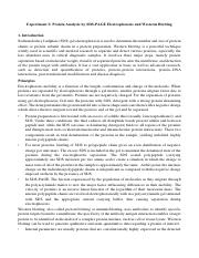 Lab C Protein 2023-2024 manual (1).pdf