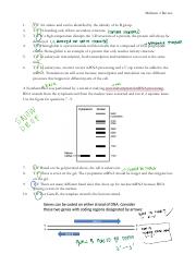Midterm 2 Review 2.pdf