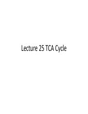 Lecture 25.pdf