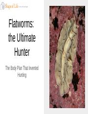 Virtual Classroom Resource_ Flatworms_ the Ultimate Hunter.pptx