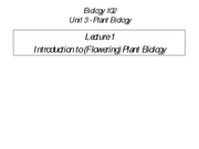 Plant Lecture 1 Blackboard