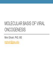 Molecular basis of viral oncogenesis guest lecture 2022.pdf