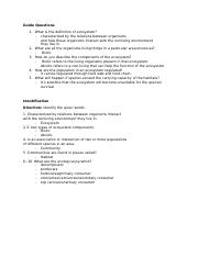 Guide Questions & Quiz.docx