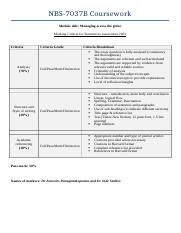Marking criteria - Summative assessment (essay).doc