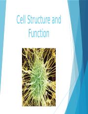 Cell Structure and Function.pptx
