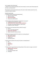 Chapter 5 Questions.pdf