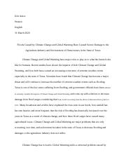 Final_Texas_Issue_Expository_Essay