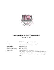 Assignment 1 Microeconomics TECO401_T5_2017.pdf