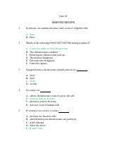 Quiz 6.pdf