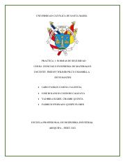 Practica Grupal (1).pdf