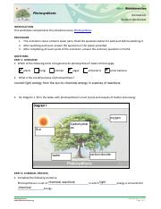 Photosynthesis homework.pdf