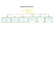 Organisational Chart MIS (1).docx