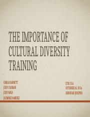the importance of cultural diversity