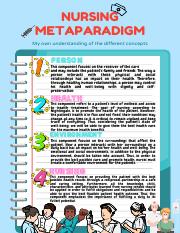 what does metaparadigm mean