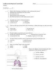 Cardiovascular Respiratory Quiz 23.docx