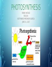 photosynthesis presentation.pptx