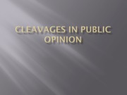  Cleavages in Public Opinion